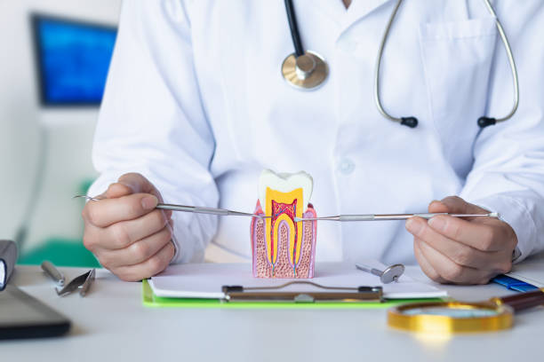 Best Emergency Root Canal Treatment in Clton, IN